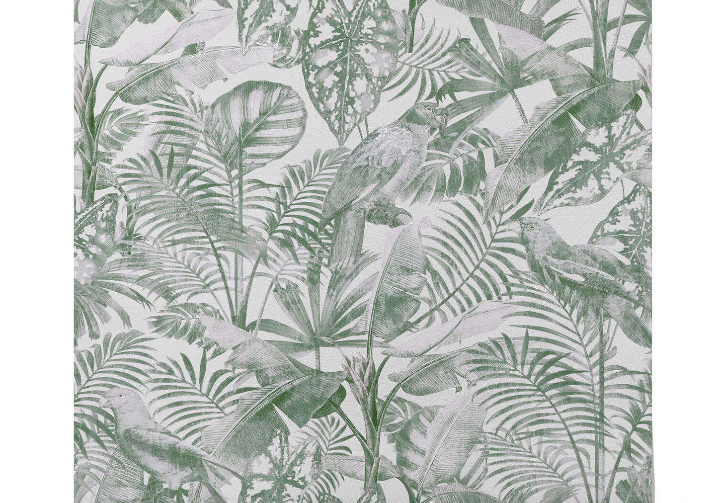 Papier Peint Tropical Noir Et Blanc