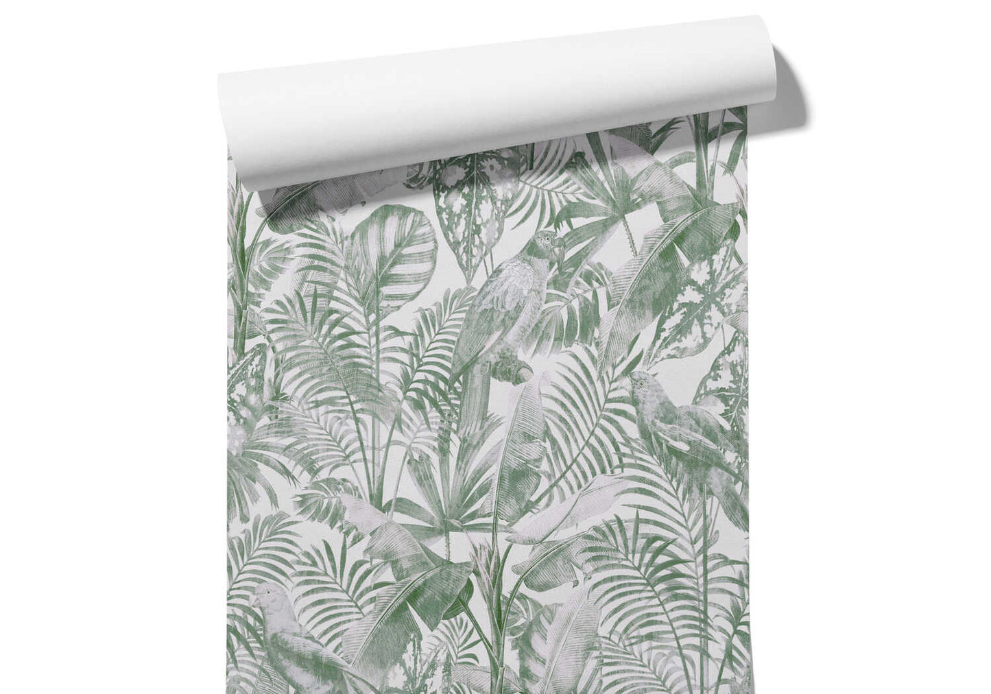 Papier Peint Tropical Noir Et Blanc